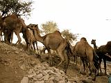 Yemen - From Sana'a to Taiz - 06